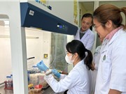 Lập bản đồ phân bố bệnh Whitmore trên người và động vật ở Việt Nam